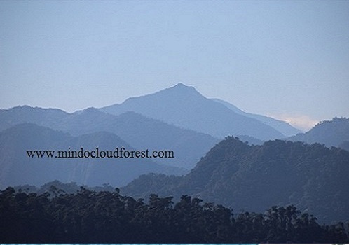 cloud forest ecuador tours